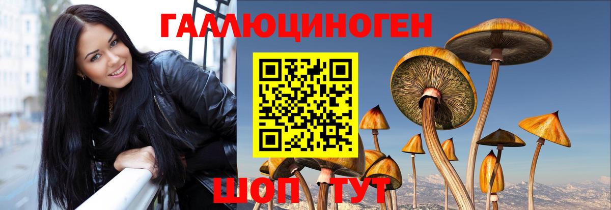 Галлюциногенные грибы ЛСД  Вход с VPN  Дмитров 